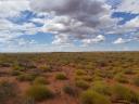 Spinifex plains